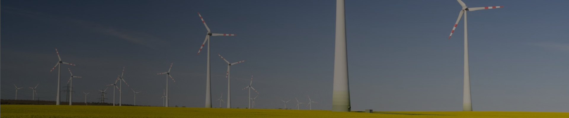 contact banner